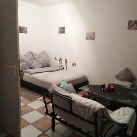 Studiowohnung, Neu Renoviert, Zentrale Lage Саарлуис Экстерьер фото