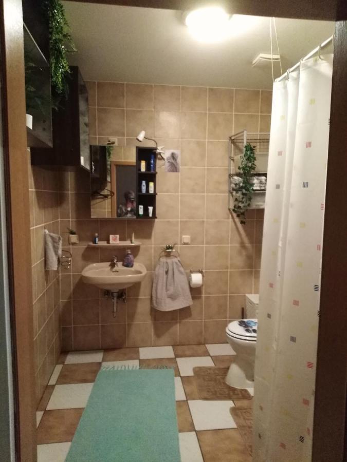 Studiowohnung, Neu Renoviert, Zentrale Lage Саарлуис Экстерьер фото